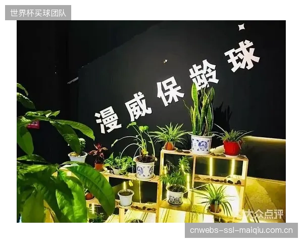 赛道参数的标准化，将催生出针对不同冲击变形指数的个性化保龄球定制市场